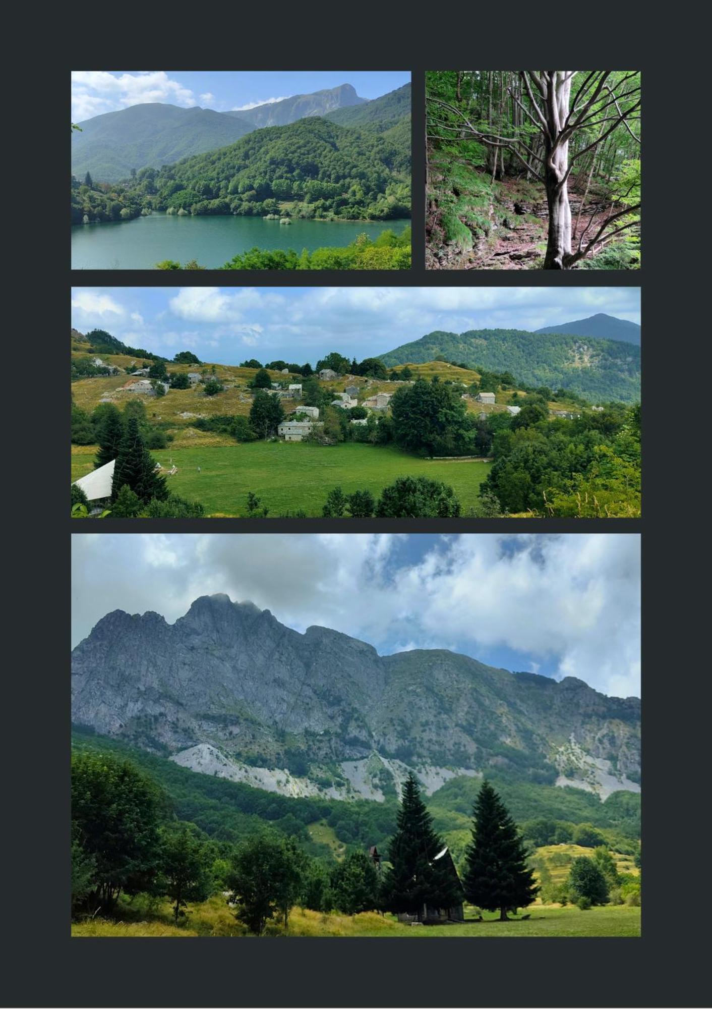 Poggio  Borgo Del Sole Agriturismo מראה חיצוני תמונה
